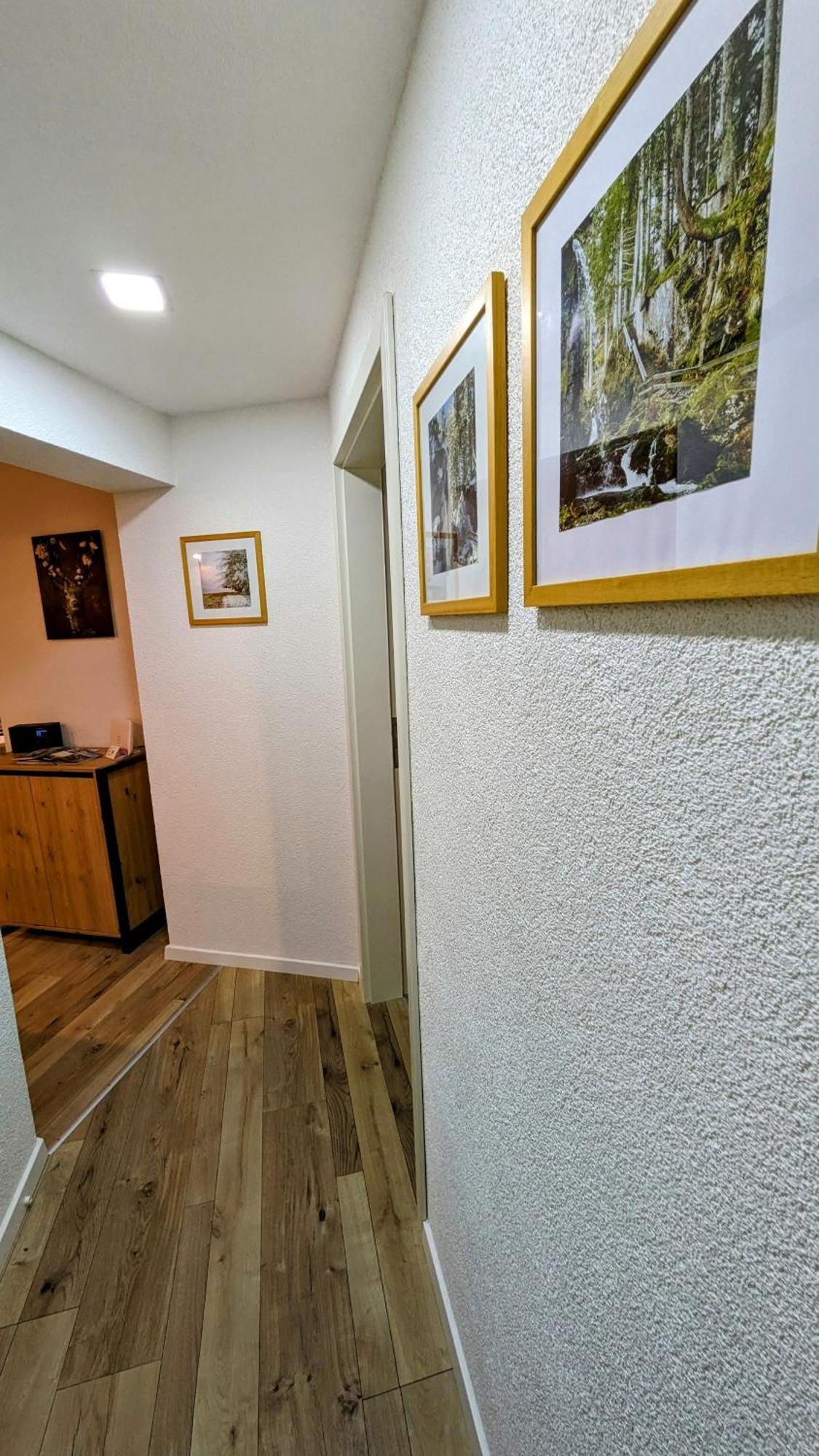 Ferienwohnung Albbruck/Albert Bagian luar foto